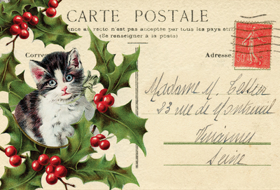 Collage with Christmas cat 