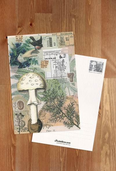 Marika Wieczorek - Fern forest