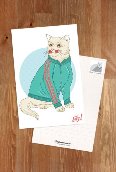 Terakoty - Sport Cat