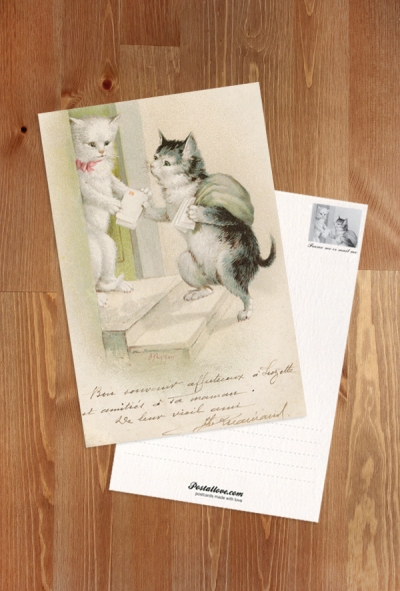 Cat postman