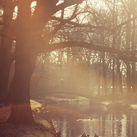 Agata Dobrzańska - Park at sunset