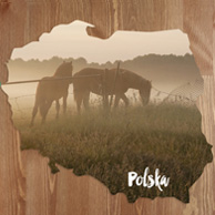 Map - Horses