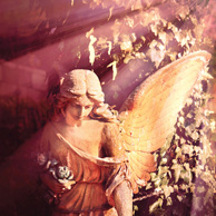 Autumn Angel