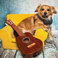 Dog with a guitar