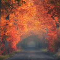 Autumn impressions